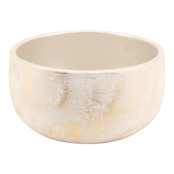 <h4>BLOEMPOT H%</h4>