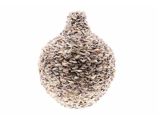 Vase Oyster Talaba H61D50