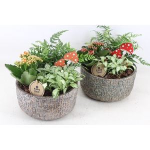 arr2 PL - Ker. pot mave 250/2 - rood/oranje