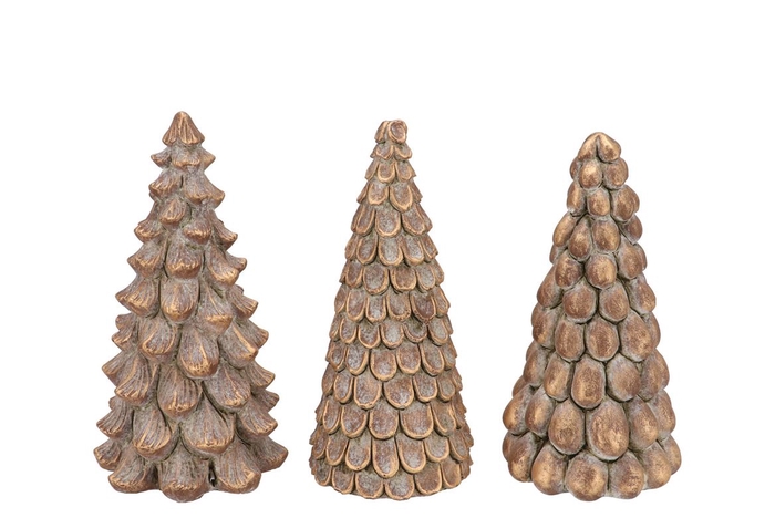 <h4>Concrete Golden Pine Tree Ass 13x13x25cm</h4>