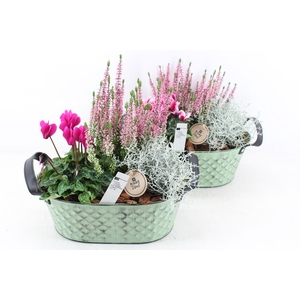 arr4 Outdoor PL - Zink old green ovaal cycl.