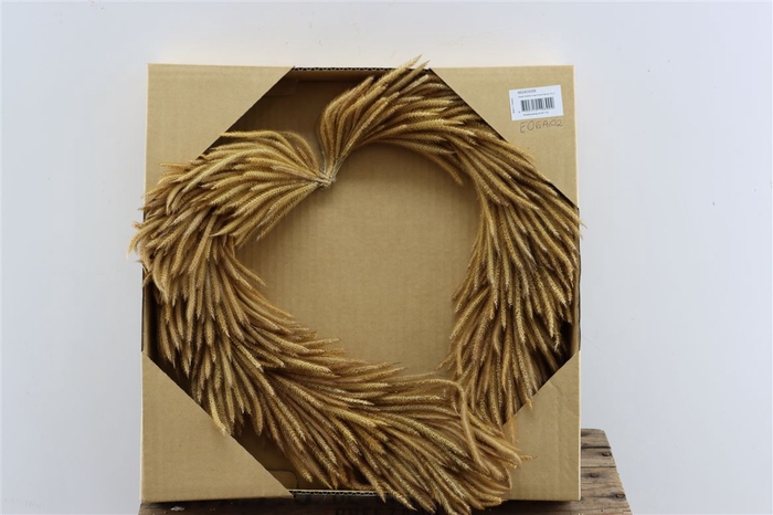 Wr Silkworm Heart Shape Natural 40cm