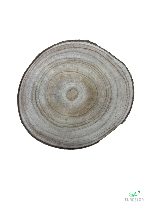 PAULOWNIA WOOD SLICE 20CM H2CM