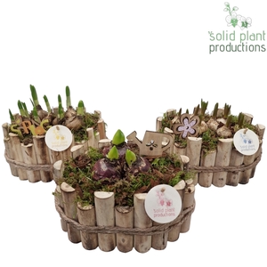 HHTM003 Bologna Small Mix