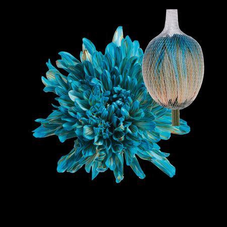 <h4>Chr G Antonov Blue Bay</h4>