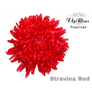 CHR G STRAVINA RED