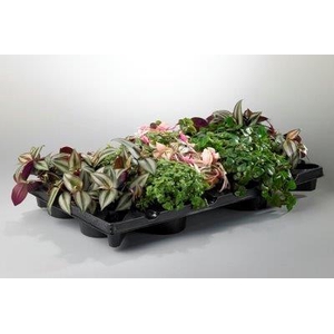 countrymix x10 10,5 cm