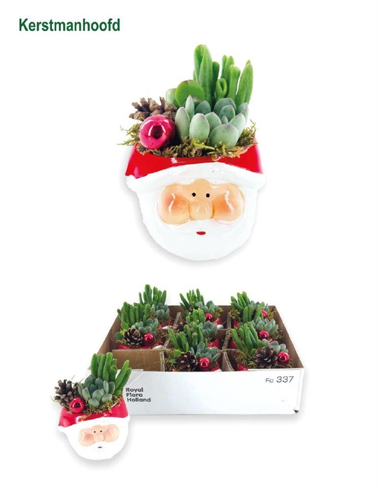 <h4>Arr. Kerst L%</h4>