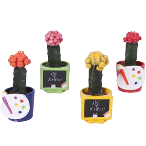Thank you Teacher Arr. Cactus Ceramic Pot Teachermix Ø11cm 1PP