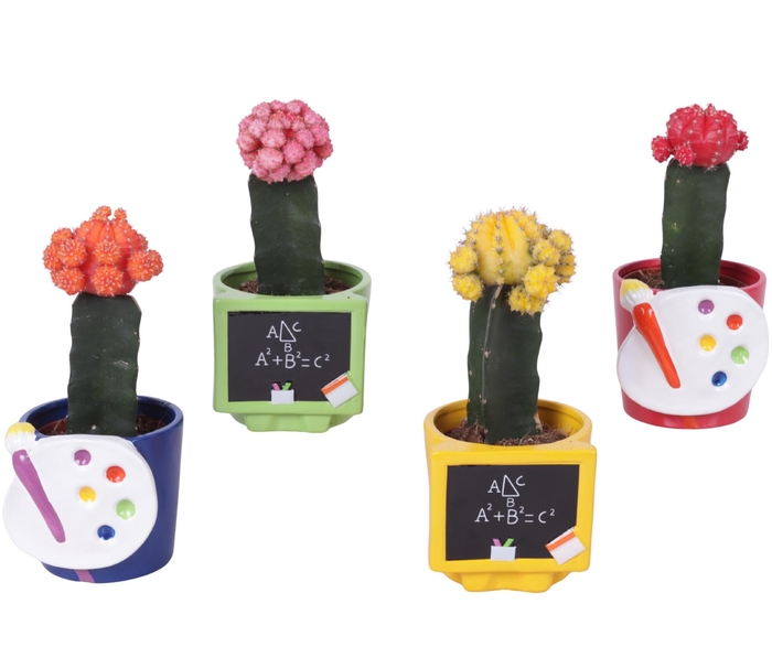 <h4>Thank you Teacher Arr. Cactus Ceramic Pot Teachermix Ø11cm 1PP</h4>