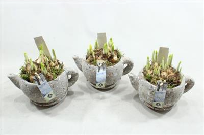 <h4>21028 JSC! KOP/SCHOTEL TETE</h4>