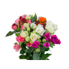 ROSA SPRAY MISTA 040 CM MISTO