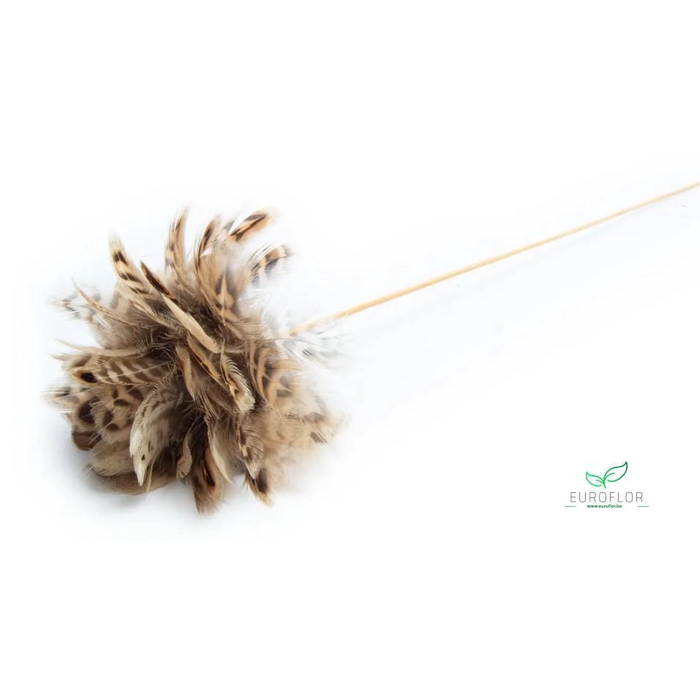 <h4>ROZEN VEREN 12CM OP STOK NATUREL BRUIN</h4>