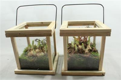 <h4>6152 LANTAARN TETE</h4>