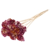 Shola Karnish Flower 6cm on stem Multicolour Cerise/Yellow