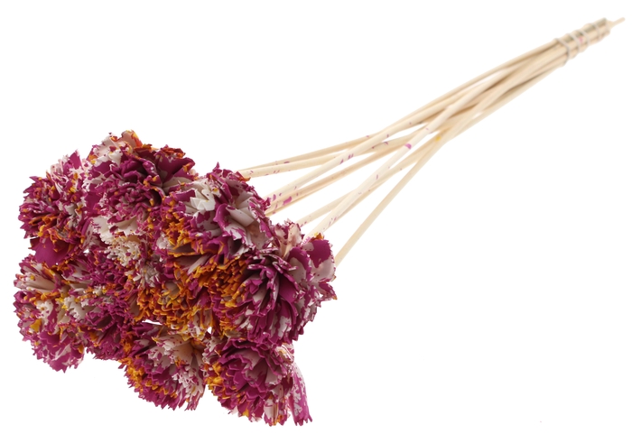 Shola Karnish Flower 6cm on stem Multicolour Cerise/Yellow