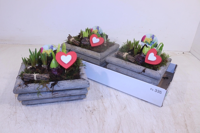 <h4>ARR BOL KNOLGEWAS</h4>