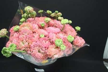 <h4>Cl Pon-pon Alice Xxl</h4>