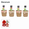 Amaryllis Mix 2 Knop in Gaby mand (Decorum)