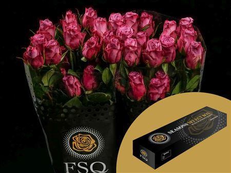 <h4>R Gr Moody Blues Box</h4>