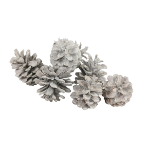 Deco Pinecone Oostenrijker 10kg Frosted