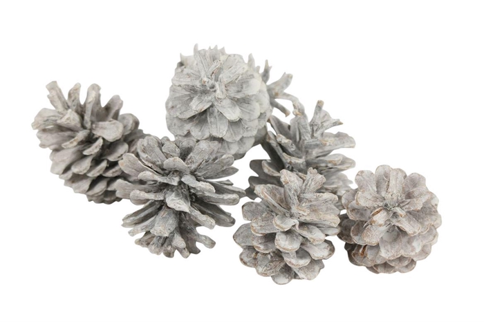 <h4>Deco Pinecone Oostenrijker 10kg Frosted</h4>