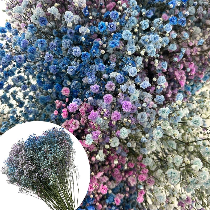 <h4>Gyps Xlence Disco Detroit 40gr</h4>