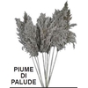 # Dr. Piume Di Palude Natural **clearout**