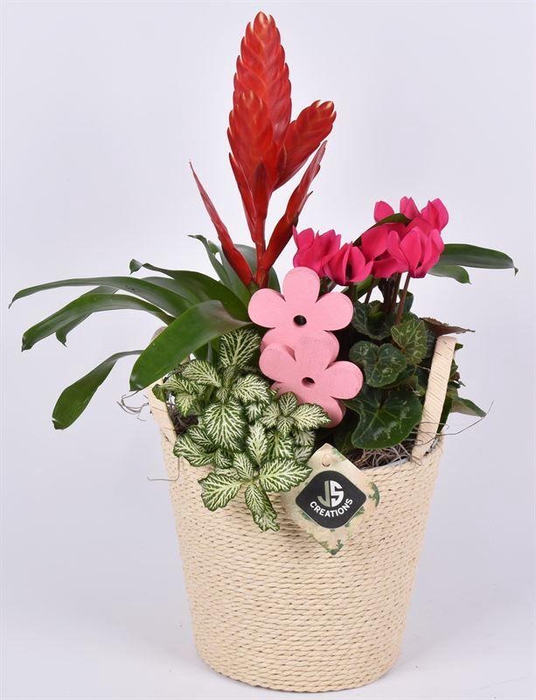 <h4>Raffia pot mand 16cm</h4>