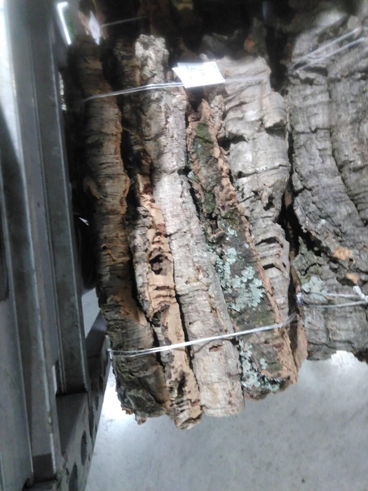 <h4>KURK PLAATJES 45CM X5</h4>