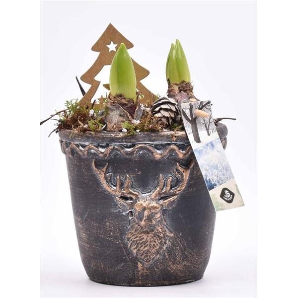 <h4>Cement rendier kop 13.5cm</h4>