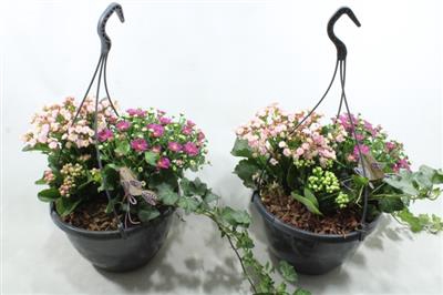 0976 Hangpot BT