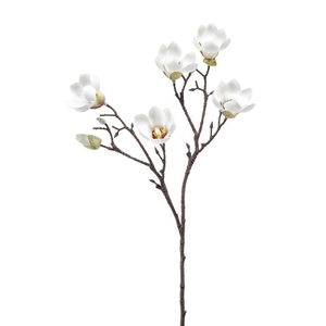 Magnolia mini spray cream 65cm