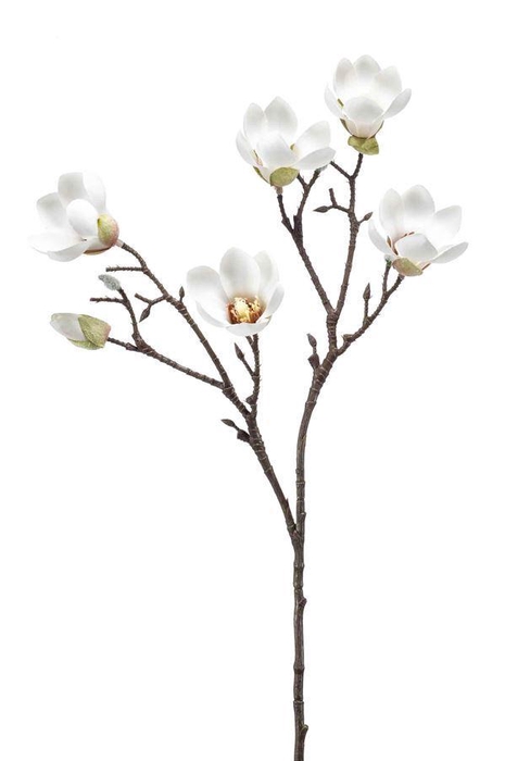 <h4>Magnolia mini spray cream 65cm</h4>
