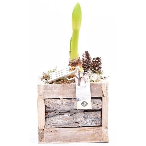 <h4>Hout met boomschors 15x15cm</h4>