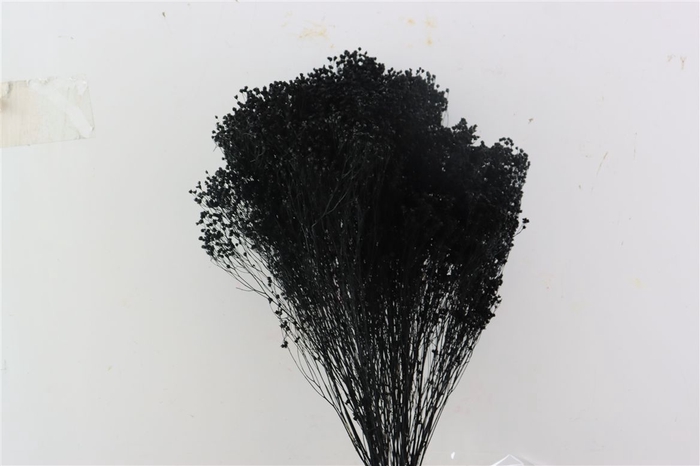 Dried Brooms Black Bunch