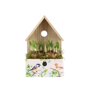 11459: Outdoor spring arrangement