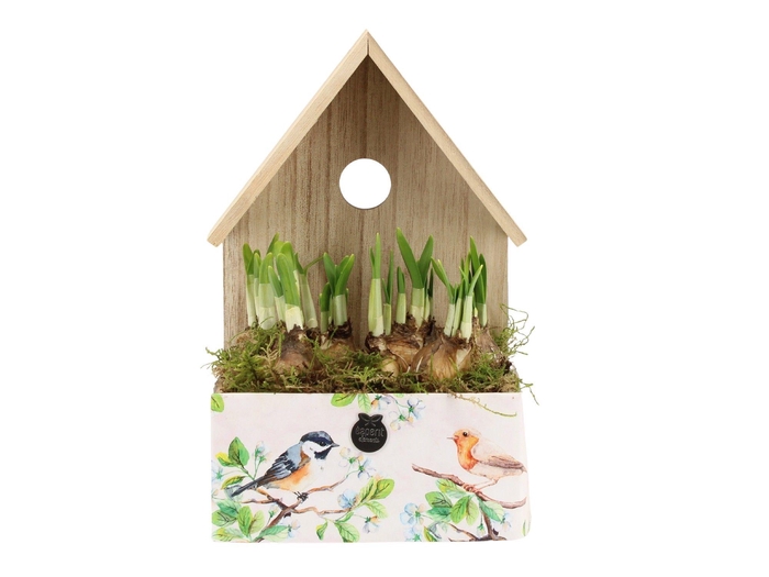 <h4>11459: Outdoor spring arrangement</h4>