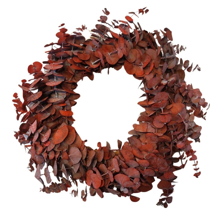 <h4>Preserved Wreath d35cm Eucalyptus Baby</h4>