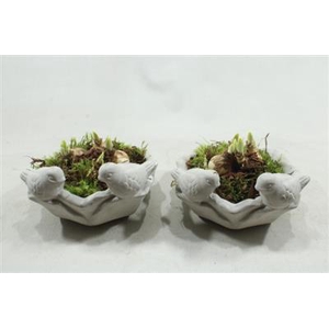 5609 Drinkschaal Tete