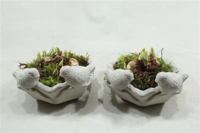 <h4>5465 DRINKSCHAAL TETE</h4>