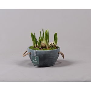Cement pot met handvaten en Narcis