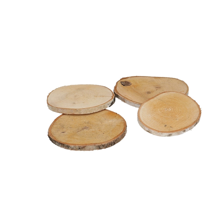 <h4>Dried articles Wood slice birch d09*10cm x10</h4>
