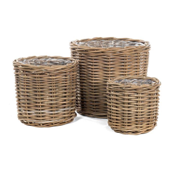 <h4>Mand   ...H%</h4>