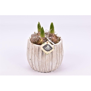 Cement pot ribbel ww 14cm