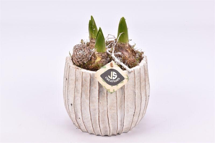 <h4>Cement pot ribbel ww 14cm</h4>