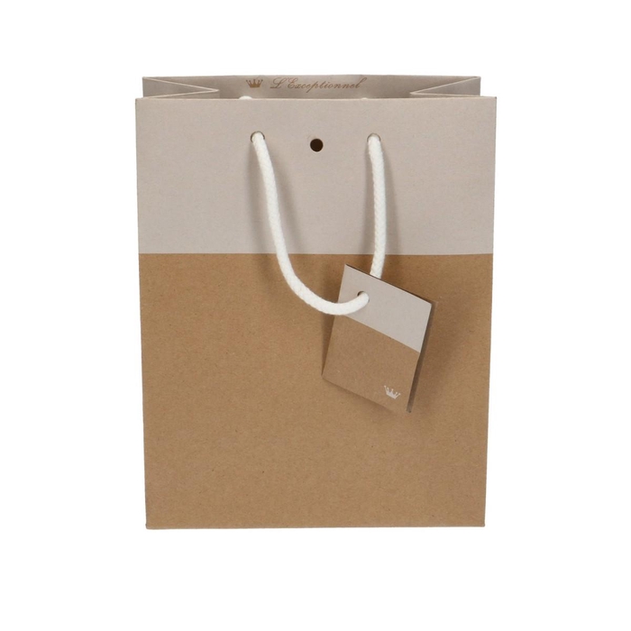 <h4>Bags Gift bag duo 10*18*22cm</h4>