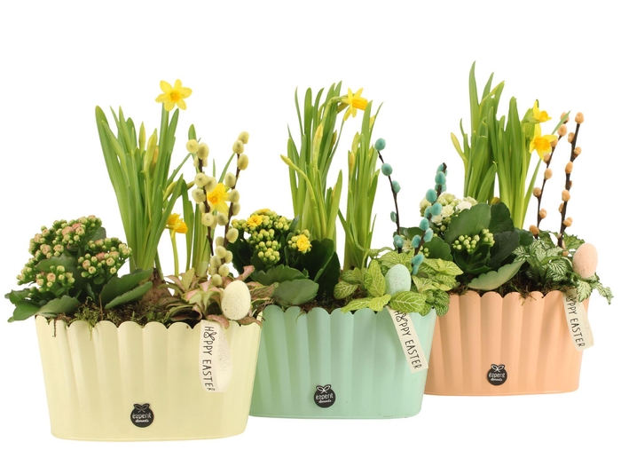 <h4>70755: Easter arrangement</h4>