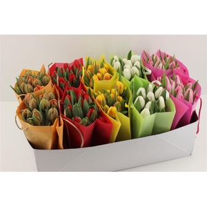 Boeket Tulp In Tas (diversen)