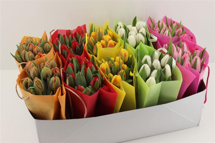 <h4>Boeket Tulp In Tas (diversen)</h4>